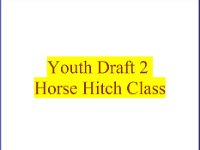 Youth Draft 2 Horse Hitch Class